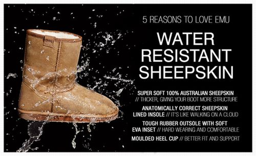 EMU-Water-FB-975x596-a51c63df-393a-4c9d-8522-2b5a0bd30109-0-975x596
